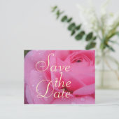 Zeer roze sparen het Roos van de Datum Aankondigingskaart (Staand voorkant)