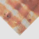 Zeer ruw metalen buitenmuur van een plattelandsuit tissuepapier (Detail)