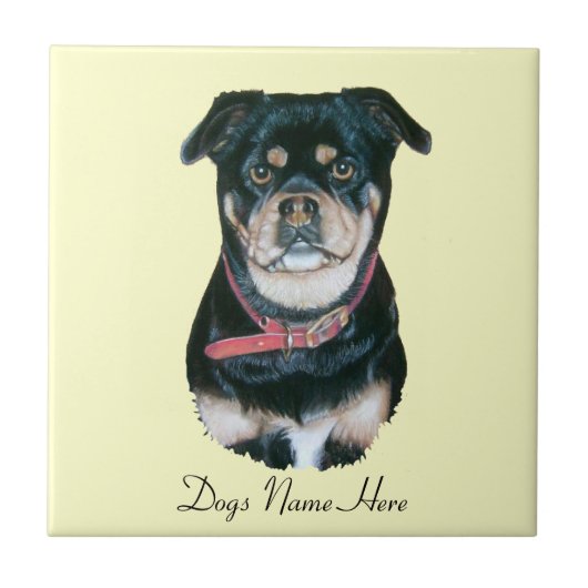 Zeer schattig hondenportret van Pug Tegeltje (Voorkant)