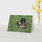 Zeer Schattige Baby Bonobo Ape Wenskaart Kaart (Gele Bloem)