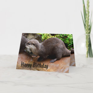 Zeer Schattige kleine grijze otter, Happy Birthday Kaart
