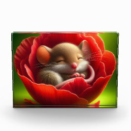 Zeer Schattigee Baby Muis Slapen Fotoblokken