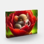 Zeer Schattigee Baby Muis Slapen Fotoblokken (Links)