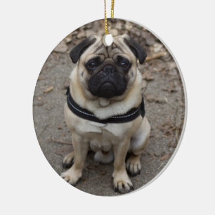 Zeer serieuze mopshond keramisch ornament