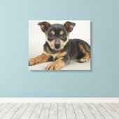 Zeer snelle foto met liefhebbende ogen canvas afdruk (Insitu (Houten vloer))