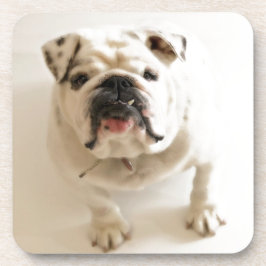 Zeer snelle hond onderzetter