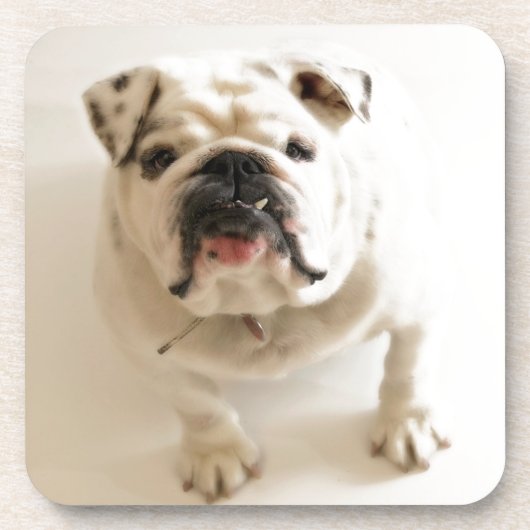 Zeer snelle hond onderzetter (Voorkant)