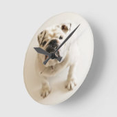 Zeer snelle hond ronde klok (Hoek)