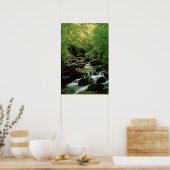Zeer speciaal Poster Woodland Stream. (Keuken)