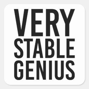 Zeer stabiele genie vierkante sticker