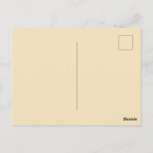 Zeer Vintage Mexico Ansichtkaart Briefkaart (Achterkant)