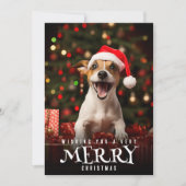 Zeer Vrolijk Kerstmis Jack Russel Terrier Hond Feestdagenkaart (Voorkant)