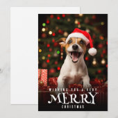 Zeer Vrolijk Kerstmis Jack Russel Terrier Hond Feestdagenkaart (Voorkant / Achterkant)