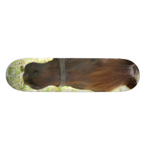 Zeer zoete kastanjepaarden skateboard