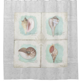 Zeeschaal zeebodem zeegebied kustgebied douchegordijn