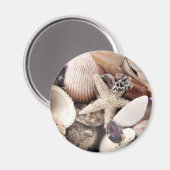 Zeeschalen aan de kust magneet (Voorkant / Achterkant)