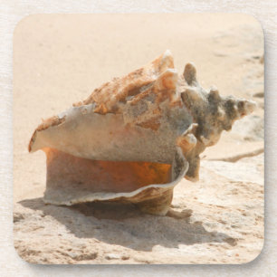 Zeeschalen aan de strand bier onderzetter