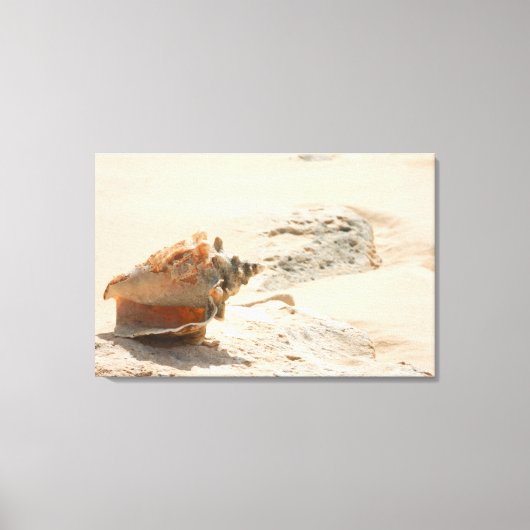 Zeeschalen aan de strand canvas afdruk (Voorkant)