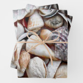 Zeeschalen en zeestrand prachtige ontkoppeling inpakpapier vel (In situ)