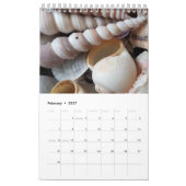 Zeeschalen kalender Exotic Tropical Romantic (Feb 2027)