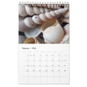 Zeeschalen kalender Exotic Tropical Romantic (Feb 2026)