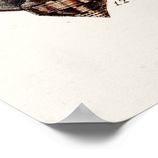  zeeschelp Aangepaste reg. Auger Shell Poster (Hoek)