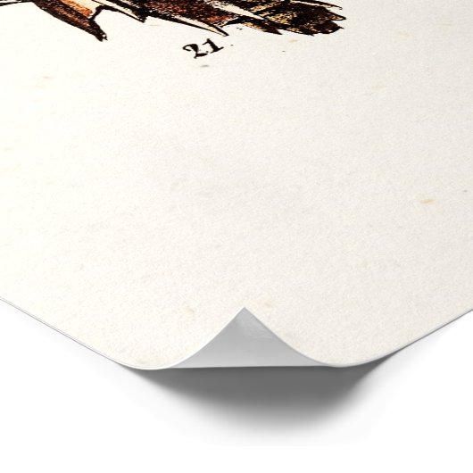 zeeschelp Aangepaste reg. Auger Shell Poster (Hoek)