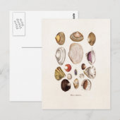  zeeschelp Aangepersonaliseerde retrospectieve Cla Briefkaart (Voorkant / Achterkant)