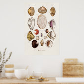  zeeschelp Aangepersonaliseerde retrospectieve Cla Poster (Keuken)