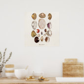 zeeschelp Aangepersonaliseerde retrospectieve Cla Poster (Keuken)