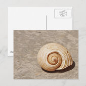 Zeeschelp Briefkaart (Voorkant / Achterkant)
