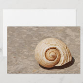 Zeeschelp Briefpapier (Voorkant / Achterkant)