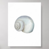 Zeeschelp conch print (Voorkant)