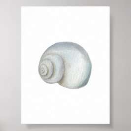 Zeeschelp conch print
