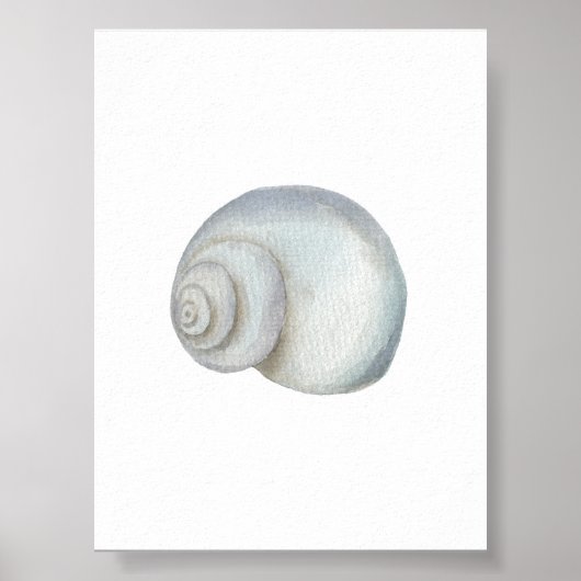 Zeeschelp conch print (Voorkant)