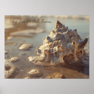 Zeeschelp en Sunlit Foam: Coastal Serenity Poster