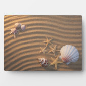 Zeeschelp en zeeduivel fotoplaat (voorkant)