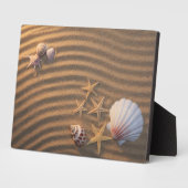 Zeeschelp en zeeduivel fotoplaat (Zijkant)
