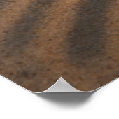 Zeeschelp en zeeduivel poster (Hoek)