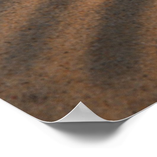 Zeeschelp en zeeduivel poster (Hoek)