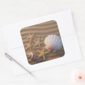 Zeeschelp en zeeduivel vierkante sticker (Envelop)