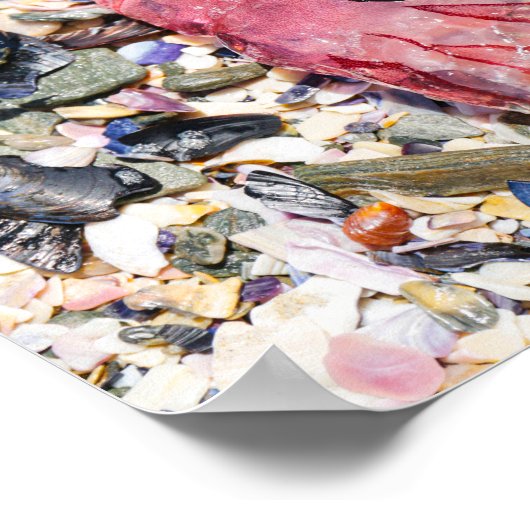 Zeeschelp Jellyfish Ocean Beach Uitzicht Poster (Hoek)