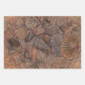 zeeschelp oceaanbedekking zeebrasep bruin inpakpapier vel (Voorkant 2)