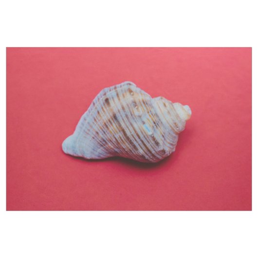 Zeeschelp op een rode achtergrond stof (Yard (91,4 cm))