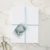 Zeeschelp voor kust/zee cadeaulabel (Met Touw)
