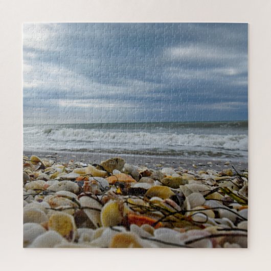 Zeeschelpen aan de kust - 20x20 - 676 stuks legpuzzel (Verticaal)