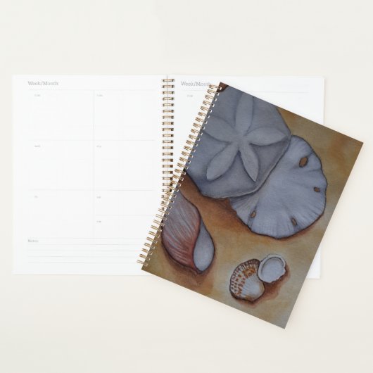 Zeeschelpen aan de kust planner (Display)