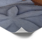 Zeeschelpen aan de kust poster (Hoek)