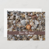 Zeeschelpen aan de Zee Shore Bewaar de datum Briefkaart (Voorkant / Achterkant)