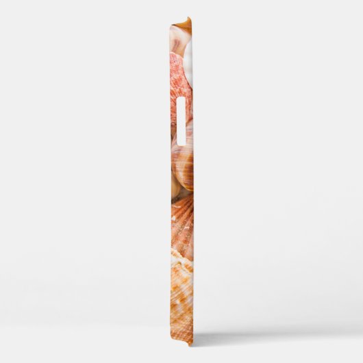 Zeeschelpen achtergrond: mariene thema. Case-Mate iPhone case (Achterkant / Rechts)